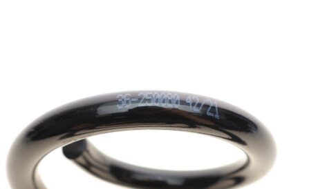 Фото 2 - Пружина подвески BILSTEIN 36-250080 (36250080)