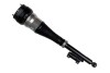 Модуль повітряний - ((2223203000, 2223206001, A2223203000, A2223206001, VA5L991)) BILSTEIN 44275433 (фото 1)