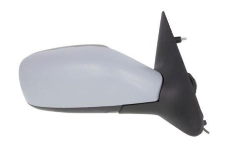 Дзеркало заднього виду - ((8200000507)) BLIC 5402092002168P