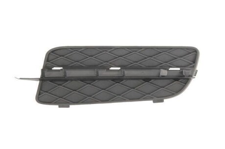 Елемент бамперу - BLIC 5513000076923P