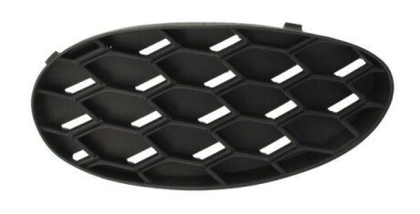 Елемент бамперу - BLIC 5513008101997P