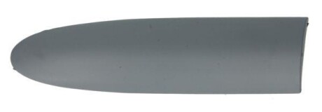 Накладки / молдинги кузова - ((735316122)) BLIC 5703042031477P