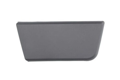 Накладки / молдинги кузова - ((735422811)) BLIC 5703042097572P