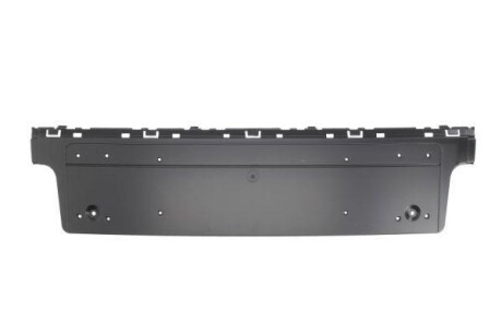 Елемент бамперу - BLIC 6509010076920P