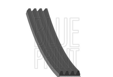 Поликлиновой ремень - (1172000Q2C, 1172000QAU, 117204016R) BLUE PRINT AD04R1538