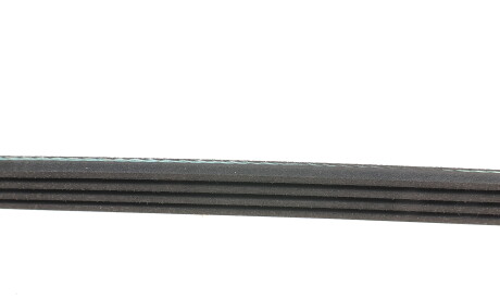 Фото 2 - Ремень приводной BLUE PRINT AD04R812