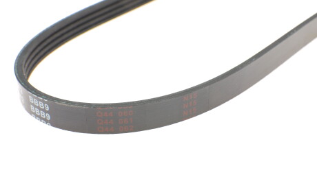 Фото 3 - Ремень приводной BLUE PRINT AD04R812