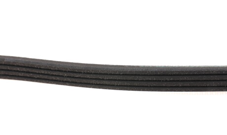 Фото 2 - Ремень приводной BLUE PRINT AD04R845