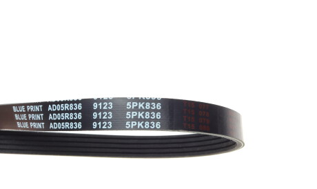 Фото 2 - Ремінь приводний BLUE PRINT AD05R836
