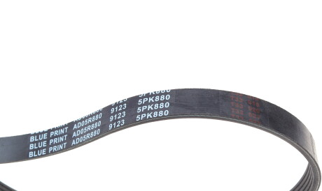 Фото 2 - Ремінь приводний BLUE PRINT AD05R880