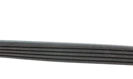 Фото 2 - Ремень приводной BLUE PRINT AD05R915