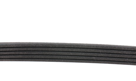 Фото 2 - Ремень приводной BLUE PRINT AD05R935