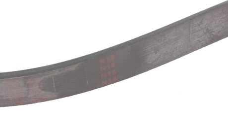 Фото 3 - Ремень приводной BLUE PRINT AD05R935