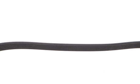 Фото 4 - Ремінь приводний BLUE PRINT AD05R962