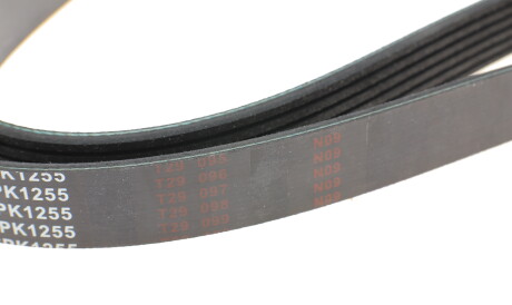 Фото 3 - Ремінь приводний BLUE PRINT AD06R1255