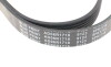 Поликлиновой ремень - ((04891661AA, 055566900, 074145933P, 11288573252, 11288573253)) BLUE PRINT AD06R1718 (фото 4)