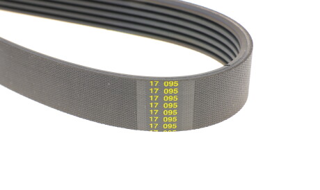 Фото 3 - Ремінь приводний BLUE PRINT AD06R1892