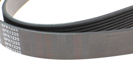 Фото 3 - Ремінь приводний BLUE PRINT AD08R1225