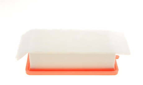 Фото 2 - Воздушный фильтр BLUE PRINT ADBP220076