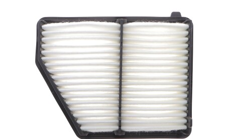 Фото 4 - Воздушный фильтр BLUE PRINT ADBP220119