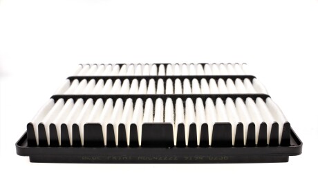 Фото 3 - Повітряний фільтр BLUE PRINT ADC42222