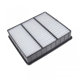 Фото 2 - Повітряний фільтр BLUE PRINT ADC42224