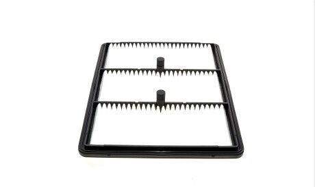 Фото 2 - Повітряний фільтр BLUE PRINT ADG022167