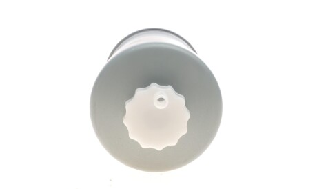 Фото 2 - Паливний фільтр BLUE PRINT ADG02342