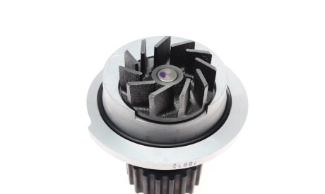 Фото 2 - Водяний насос BLUE PRINT ADG09121