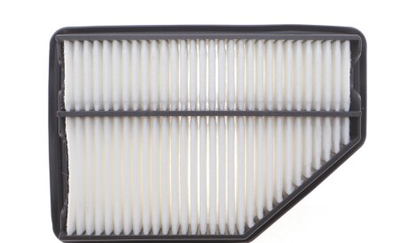 Фото 3 - Воздушный фильтр BLUE PRINT ADH22260