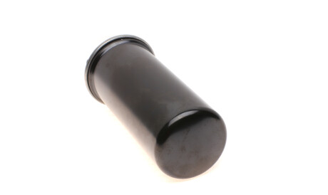 Фото 2 - Паливний фільтр BLUE PRINT ADV182342