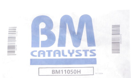 Фото 2 - Елемент вихлопної системи BM CATALYSTS BM11050H