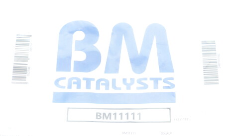Фото 2 - Елемент выхлопной системы BM CATALYSTS BM11111