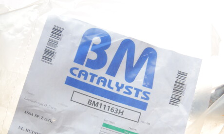 Фото 2 - Елемент выхлопной системы BM CATALYSTS BM11163H