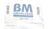 Фільтр сажі - ((200101350R, 200101773R, 200107593R)) BM CATALYSTS BM11179H (фото 2)