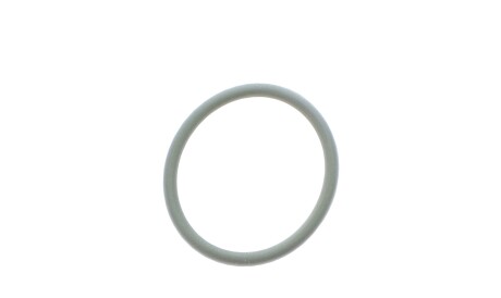 Кільце кр 19x1.8 N43 - BMW 11417566726