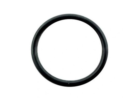 Прокладка патрубка радіатора (22,8x2,5) 3 (E46), 5 (E39) 2.0D 04.98-05.05 - BMW 11537786258