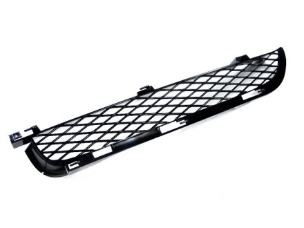 Решітка R E53 - BMW 51117116398