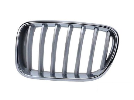 Решетка радиатора - BMW 51117237421
