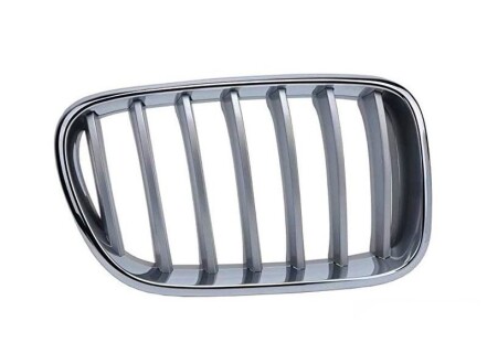 Решітка капоту R F25 - BMW 51117237422