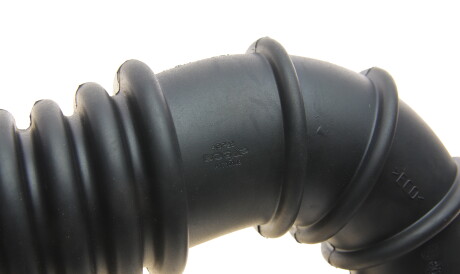 Фото 2 - Система впуску BOGAP A1710108