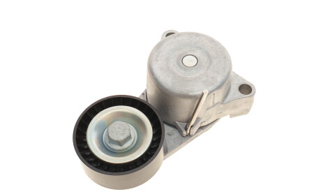 Фото 4 - Ролик ремня приводного BOGAP C1317105