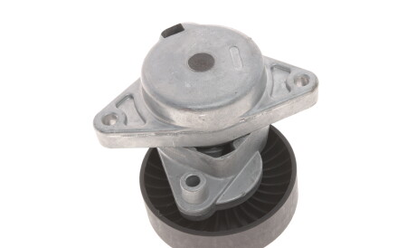 Фото 2 - Ролик ременя приводного BOGAP C1317106