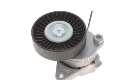 Фото 3 - Ролик ременя приводного BOGAP C1317106