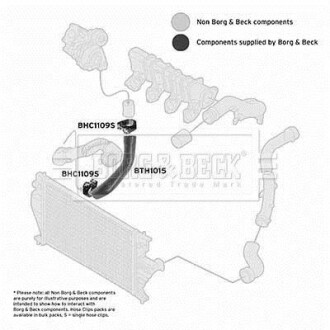 Шлангопровод - (1482841080, 0382Q1) BORG & BECK BTH1015