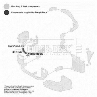 Шлангопровод - BORG & BECK BTH1120