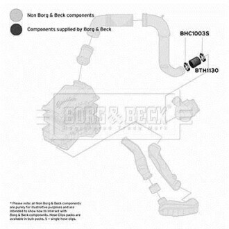 Шлангопровод - BORG & BECK BTH1130