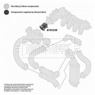 Шлангопровод - BORG & BECK BTH1239