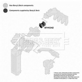 Шлангопровод - BORG & BECK BTH1242