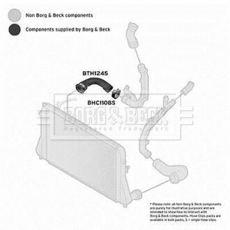 Шлангопровод - (1K0145834AC) BORG & BECK BTH1245